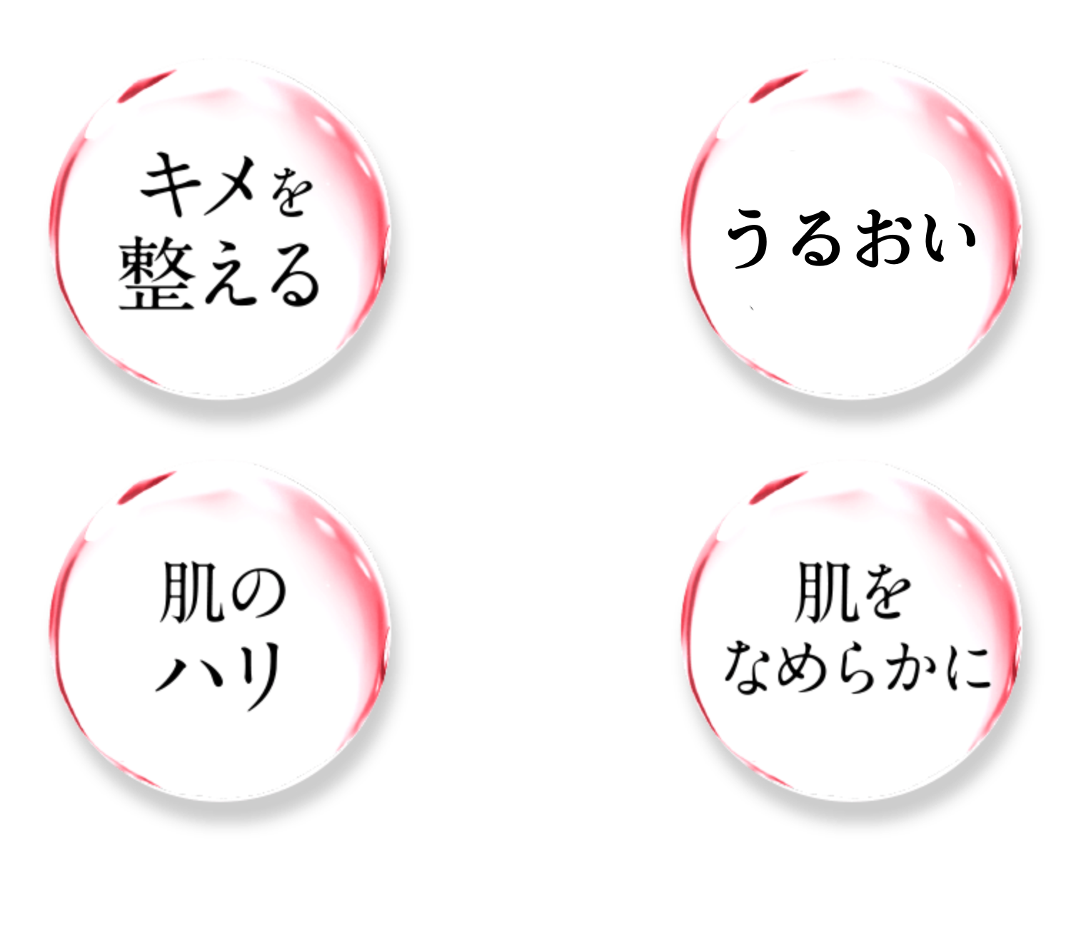 キメを整える 肌ツヤ 肌のハリ 肌をなめらかに